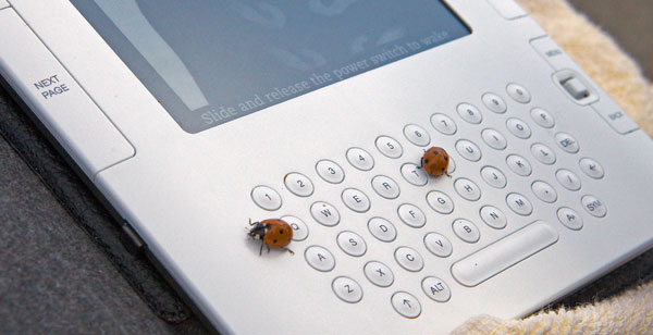 Kindle 2 Bugs Kindle 2 Bugs